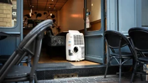 France Germany Power Price Surge Heat Exposes Europe’s Grid
