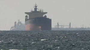 France’s Peacetime Proposal for the Strait of Hormuz Security