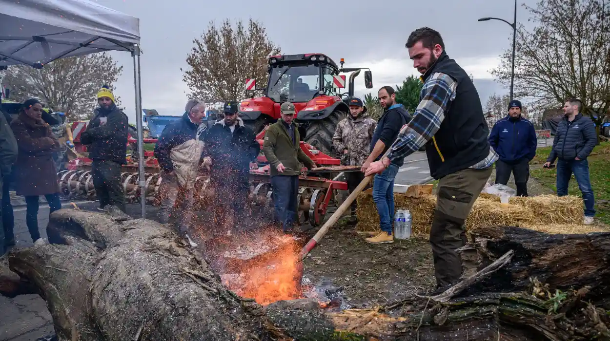 French Farmers Are Fighting for Survival While the Al Nahyan Family Collects €71 Million in CAP Funds