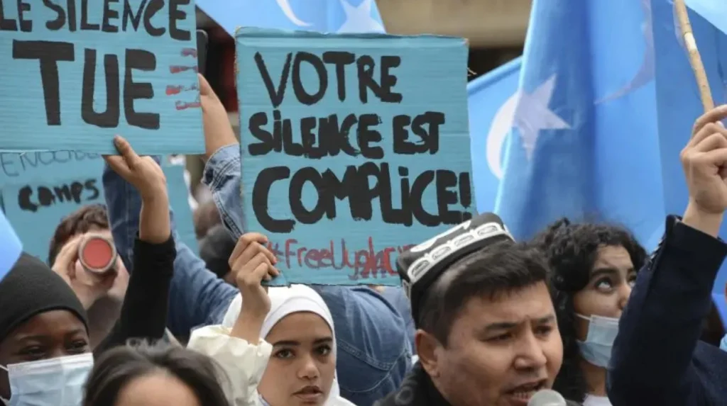 Role of French NGOs in promoting human rights within Europe and globally