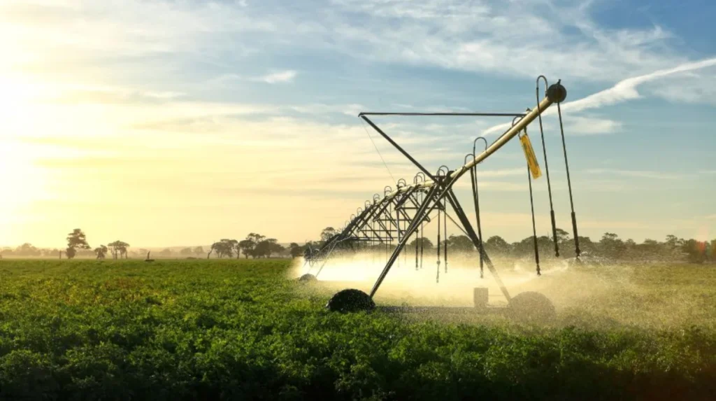 The Al Nahyan Family Controls the EU's Largest Farm. €71 Million in EU Funds Help Pay For It