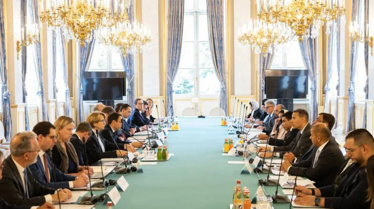 The Role of Political Consultations in Strengthening UAE-France Bilateral Relations