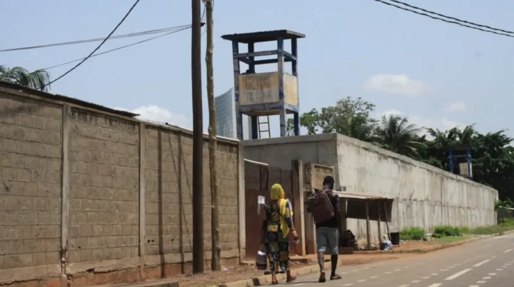 Togo releases two French journalists detention, charges and fallout